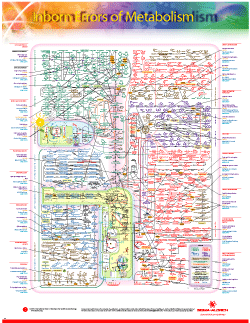 nicholson metabolic pathways chart - Part.tscoreks.org