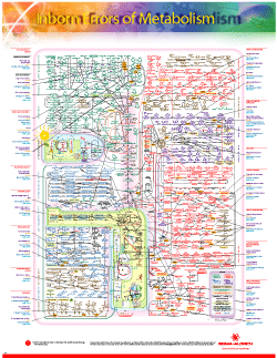 Inborn Errors Of Metabolism Chart